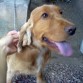 Acá Sofia cuando se estaba cortando el pelo!!!